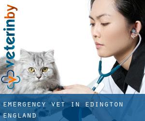 Emergency Vet in Edington (England)