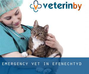 Emergency Vet in Efenechtyd