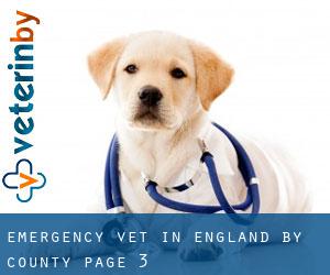 Emergency Vet in England by County - page 3