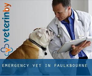 Emergency Vet in Faulkbourne