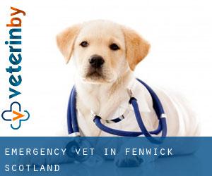Emergency Vet in Fenwick (Scotland)