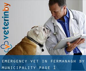 Emergency Vet in Fermanagh by municipality - page 1