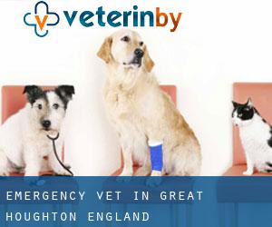 Emergency Vet in Great Houghton (England)