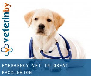 Emergency Vet in Great Packington Emergency Vet in Great Packington