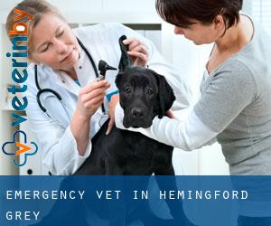 Emergency Vet in Hemingford Grey