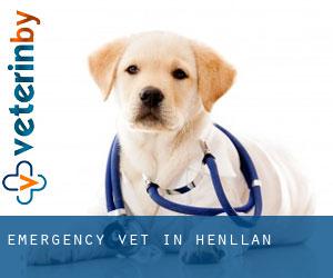 Emergency Vet in Henllan