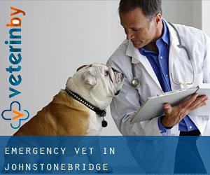 Emergency Vet in Johnstonebridge