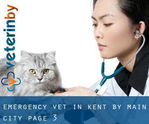 Emergency Vet in Kent by main city - page 3