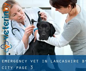 Emergency Vet in Lancashire by city - page 3