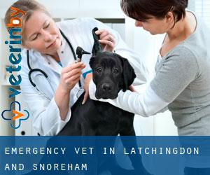 Emergency Vet in Latchingdon and Snoreham