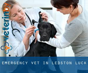 Emergency Vet in Ledston Luck