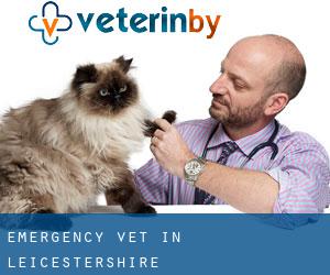 Emergency Vet in Leicestershire