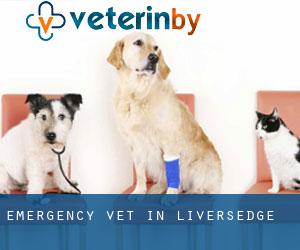 Emergency Vet in Liversedge