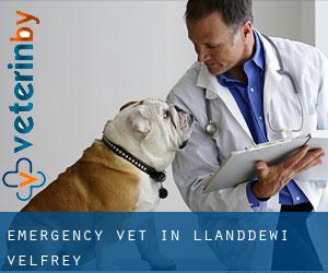 Emergency Vet in Llanddewi Velfrey