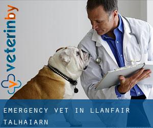 Emergency Vet in Llanfair Talhaiarn