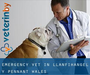 Emergency Vet in Llanfihangel-y-Pennant (Wales)