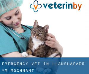Emergency Vet in Llanrhaeadr-ym-Mochnant