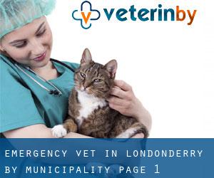 Emergency Vet in Londonderry by municipality - page 1