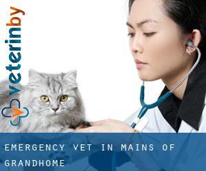 Emergency Vet in Mains of Grandhome Emergency Vet in Mains of Grandhome