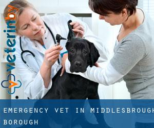 Emergency Vet in Middlesbrough (Borough)