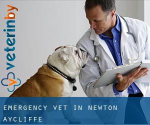 Emergency Vet in Newton Aycliffe