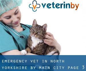 Emergency Vet in North Yorkshire by main city - page 3