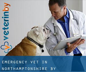 Emergency Vet in Northamptonshire by metropolitan area - page 3