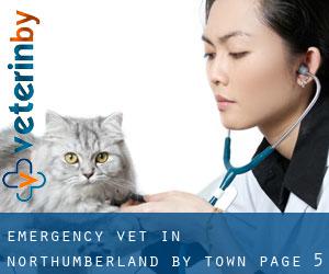 Emergency Vet in Northumberland by town - page 5