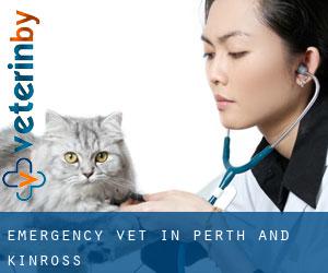 Emergency Vet in Perth and Kinross