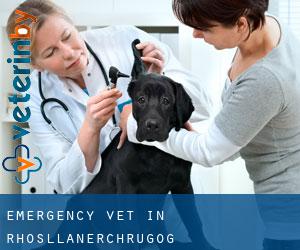 Emergency Vet in Rhosllanerchrugog Emergency Vet in Rhosllanerchrugog