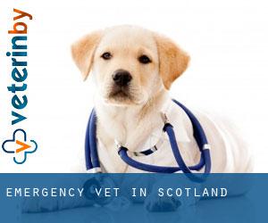 Emergency Vet in Scotland Emergency Vet in Scotland