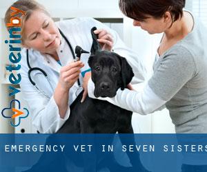 Emergency Vet in Seven Sisters