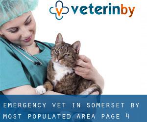 Emergency Vet in Somerset by most populated area - page 4