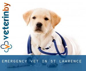 Emergency Vet in St Lawrence Emergency Vet in St Lawrence