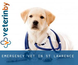 Emergency Vet in St Lawrence