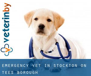 Emergency Vet in Stockton-on-Tees (Borough)