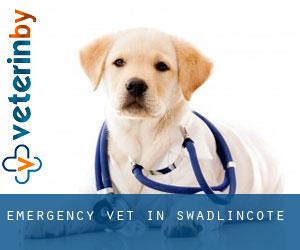 Emergency Vet in Swadlincote Emergency Vet in Swadlincote