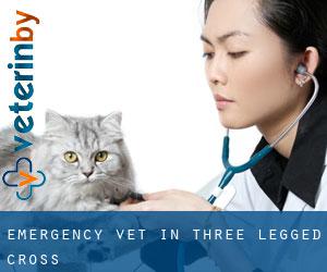 Emergency Vet in Three Legged Cross