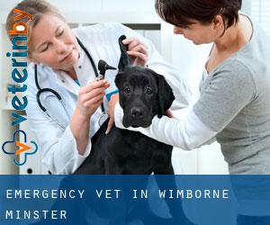 Emergency Vet in Wimborne Minster Emergency Vet in Wimborne Minster