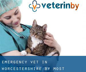 Emergency Vet in Worcestershire by most populated area - page 1
