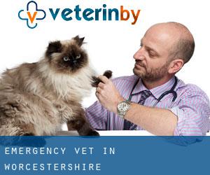 Emergency Vet in Worcestershire