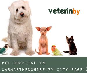 Pet Hospital in Carmarthenshire by city - page 2