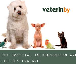 Pet Hospital in Kennington and Chelsea (England)