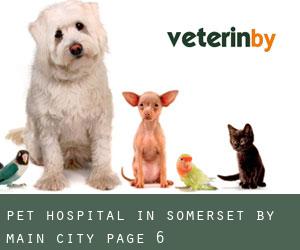 Pet Hospital in Somerset by main city - page 6