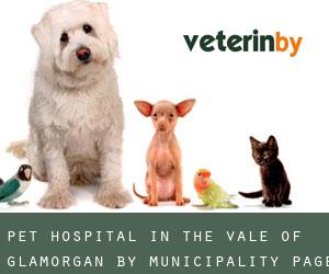 Pet Hospital in The Vale of Glamorgan by municipality - page 1