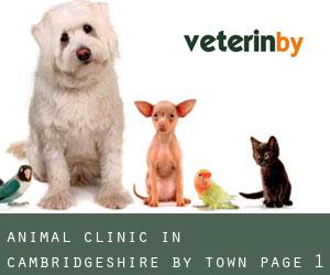 Animal Clinic in Cambridgeshire by town - page 1