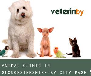 Animal Clinic in Gloucestershire by city - page 5