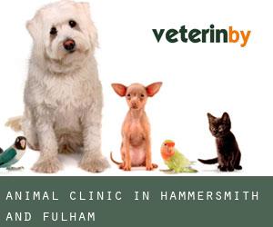 Animal Clinic in Hammersmith and Fulham