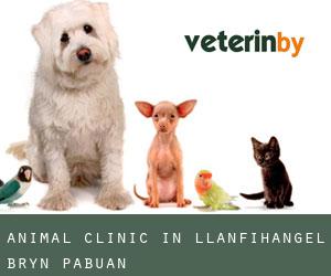 Animal Clinic in Llanfihangel-Bryn-Pabuan