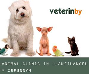 Animal Clinic in Llanfihangel-y-creuddyn